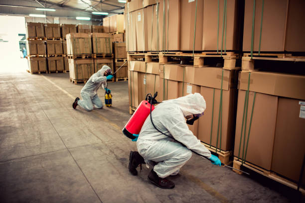 Best Affordable Pest Control Services  in Vienna, WV