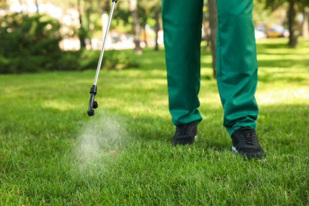 Best Pest Inspection Near Me  in Vienna, WV