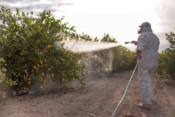 Best Best Pest Control Companies  in Vienna, WV