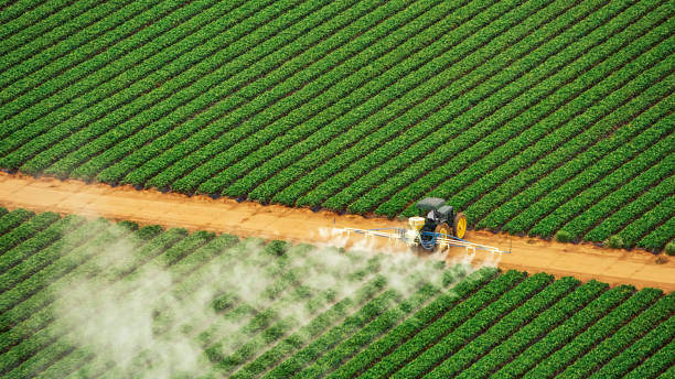 Best Pest Removal Services  in Vienna, WV